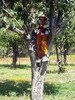 photo thumbnail #14
