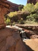photo thumbnail #13
