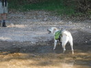 photo thumbnail #4