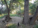 photo thumbnail #6