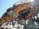 photo thumbnail #15