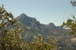 photo thumbnail #6