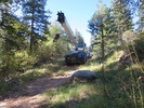 photo thumbnail #10