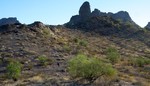 photo thumbnail #2