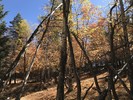 photo thumbnail #2