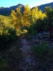 photo thumbnail #1