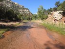 photo thumbnail #4