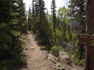 photo thumbnail #4