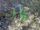 photo thumbnail #6