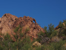 photo thumbnail #3