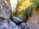 photo thumbnail #12