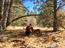photo thumbnail #10