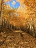 photo thumbnail #14