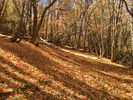 photo thumbnail #15