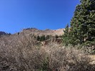photo thumbnail #3