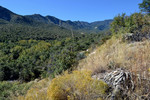 photo thumbnail #13