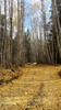photo thumbnail #3