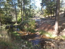 photo thumbnail #11