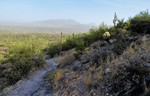 photo thumbnail #5