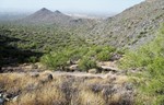 photo thumbnail #8