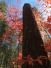 photo thumbnail #10