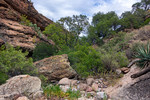 photo thumbnail #7