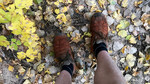 photo thumbnail #15
