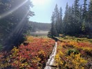 photo thumbnail #1