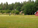 photo thumbnail #6