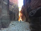 photo thumbnail #12