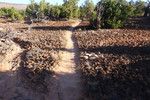 photo thumbnail #11