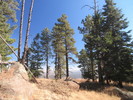 photo thumbnail #12