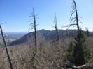 photo thumbnail #13