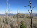photo thumbnail #14