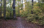 photo thumbnail #14