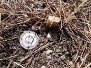photo thumbnail #6
