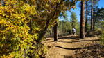 photo thumbnail #5