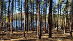 photo thumbnail #10