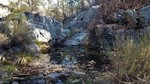 photo thumbnail #10