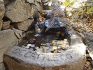photo thumbnail #7