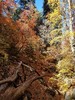 photo thumbnail #11