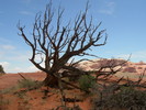 photo thumbnail #10