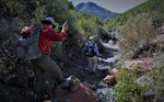 photo thumbnail #11