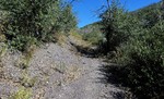 photo thumbnail #5