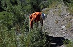 photo thumbnail #4