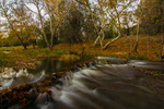 photo thumbnail #1