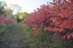 photo thumbnail #5
