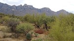 photo thumbnail #2