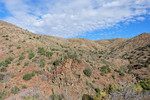 photo thumbnail #1