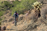 photo thumbnail #4